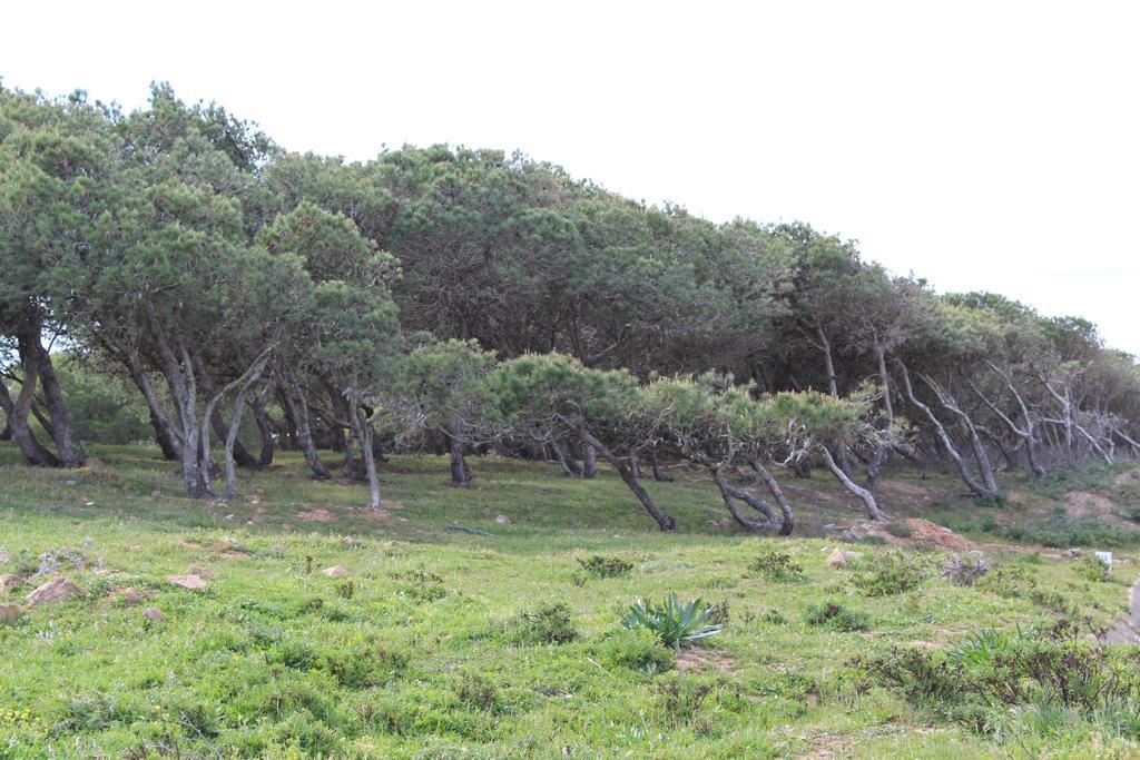 Villa Boa Vista Sul - Terra Da Eira - Raposeira Вила до Биспо Екстериор снимка